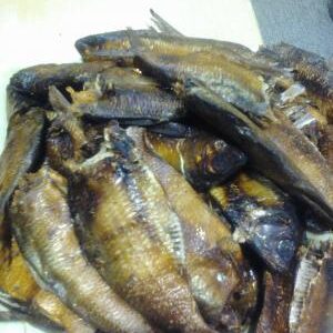 Bonga Fish