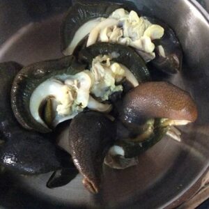 Fresh Snails